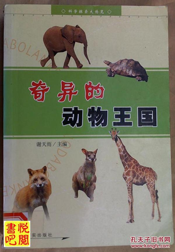 今晚买四不像，一场奇妙的生肖文化探索之旅