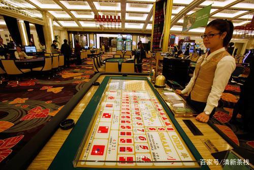 探索新澳门免费资料挂牌大全，解锁娱乐与信息的双重盛宴