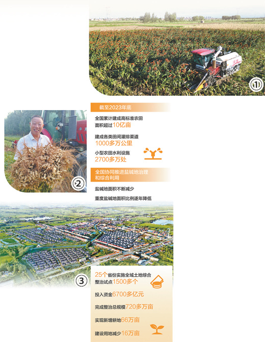河北12530，打造乡村振兴的数字引擎