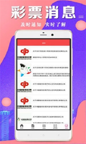 6.5亿彩票背后的王中网，免费提供的护栏与六玄网络