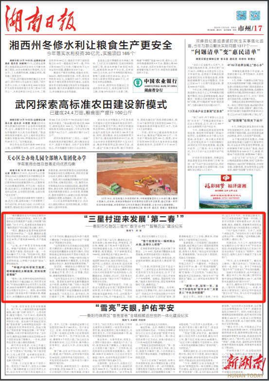揭秘香港二四六玄机资料图，一场数字与智慧的较量