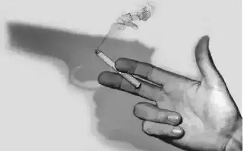 九五论坛，探索未来趋势与行业创新的智慧盛宴
