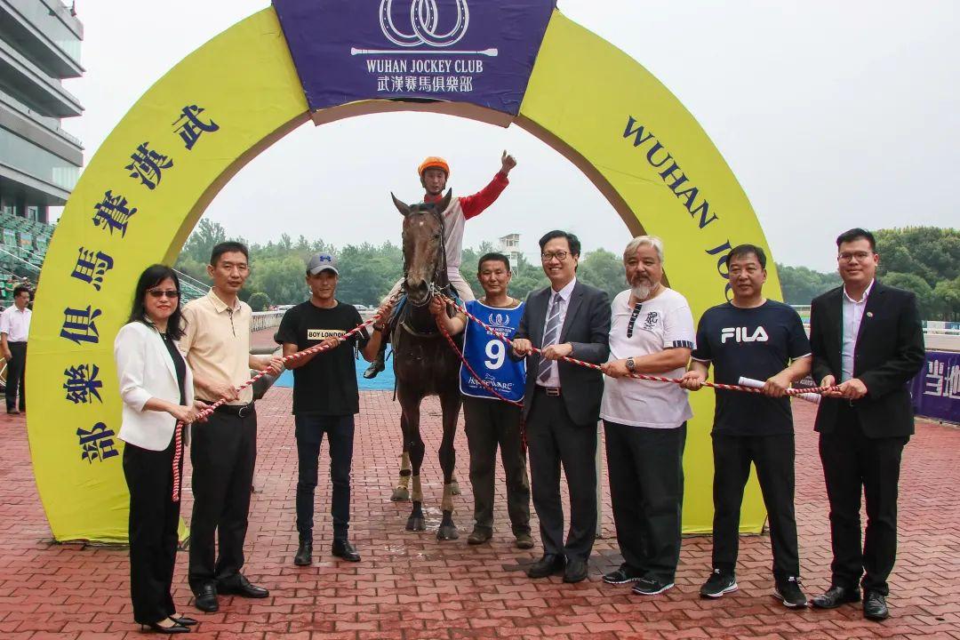 探索香港赛马文化，全面解析香江会精选资料大全