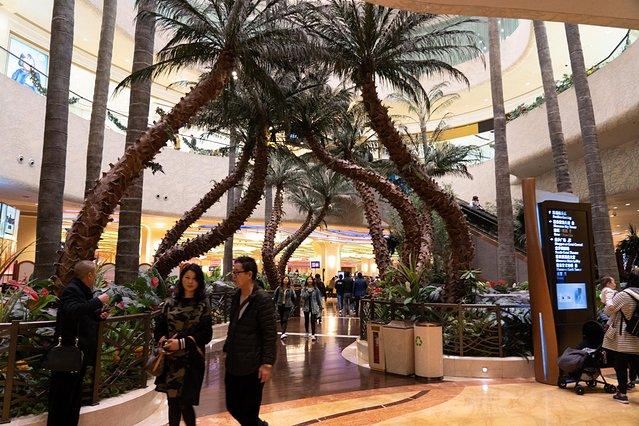 澳门彩今晚必中一肖—理性与幸运的平衡，探寻真实的中奖之道？