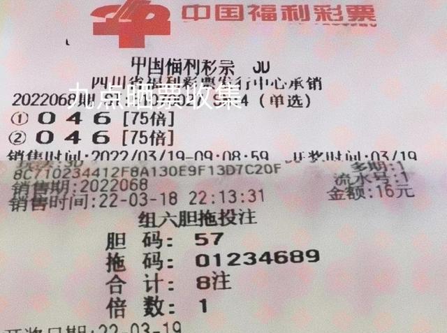 试机号3D今日揭晓，探索数字背后的奥秘与彩民的期待