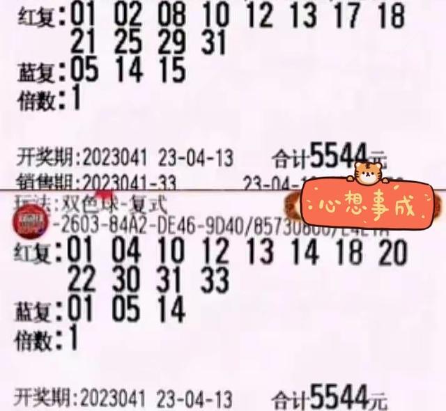 2013年双色球全部开奖结果回顾，幸运的数字与梦想成真的故事