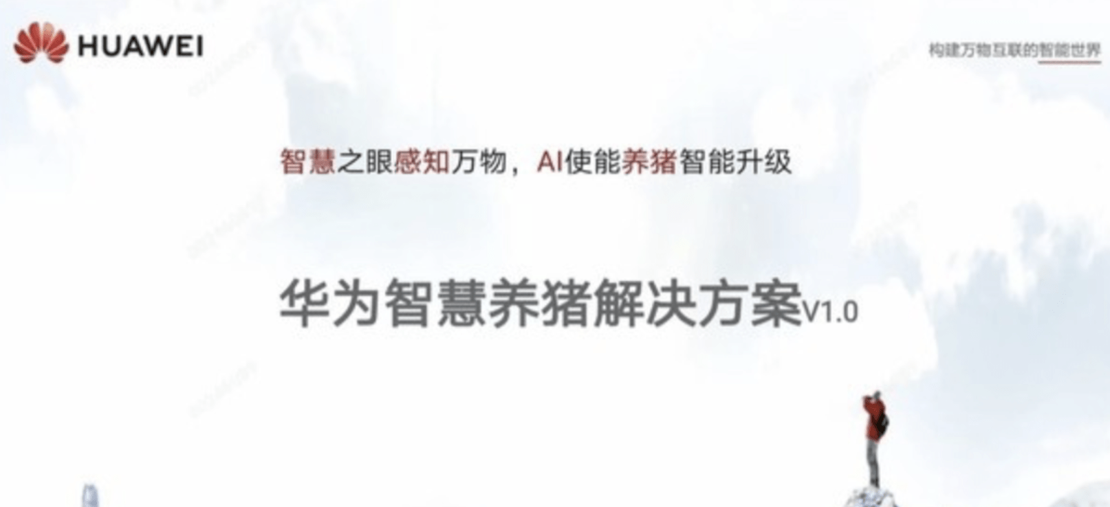 探秘布衣3D字谜A，一场视觉与智慧的盛宴