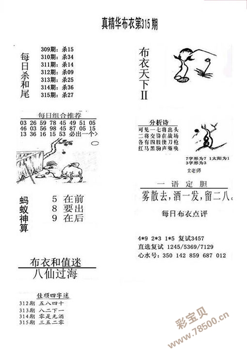今晚福彩3D图谜布衣，揭秘与乐趣并存