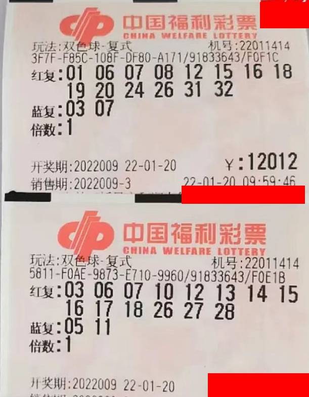 揭秘双色球15028期开奖结果，幸运数字背后的故事