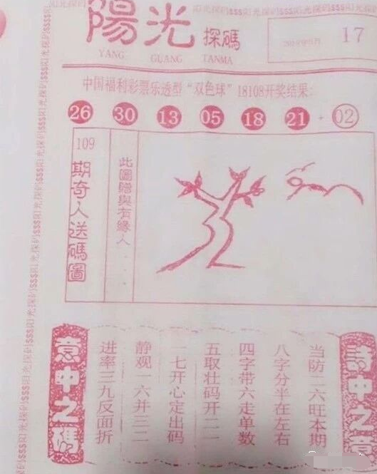 阳光探码，揭秘双色球125期背后的数字奥秘