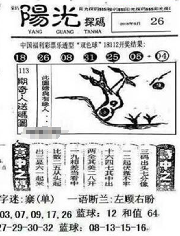 2019年双色球阳光探码图，揭秘数字背后的幸运密码