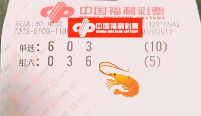 彩票78期开奖结果揭晓，梦想与现实的交汇