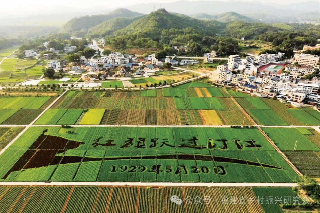 江西十一选五彩经网，编织乡村振兴的希望之线