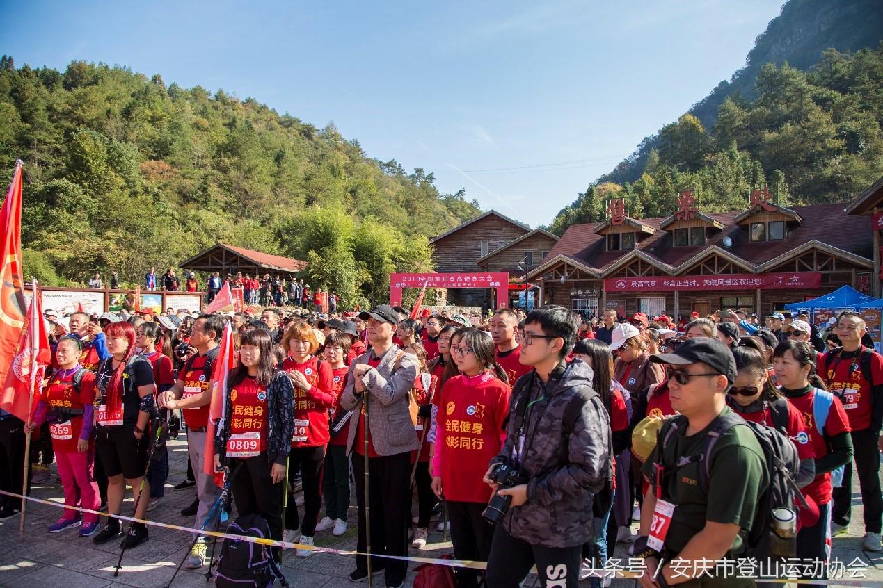 安徽彩票店，梦想与希望的交汇点