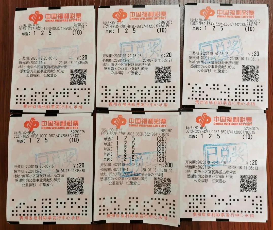 3D直播开奖，现场直击，尽享真实与刺激的双重体验