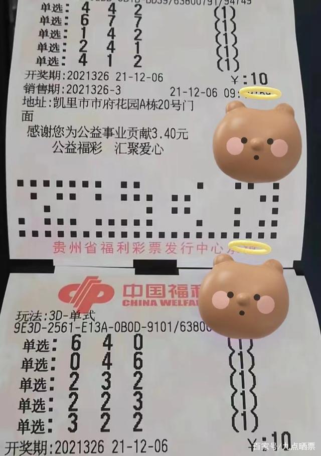 昨日常态，体彩福彩超市里的期待与惊喜
