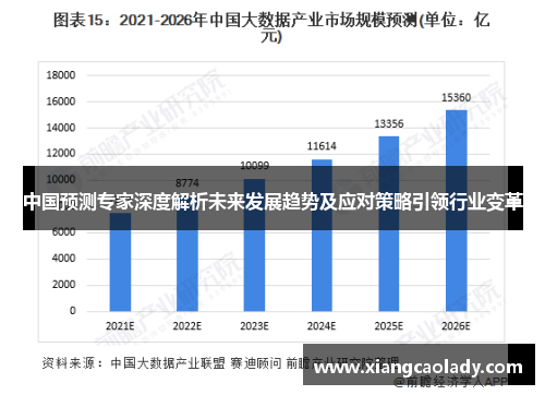 七星预测，十位专家精准解读未来趋势