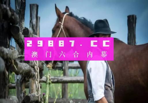 澳门资料免费大全，2013年回顾与展望